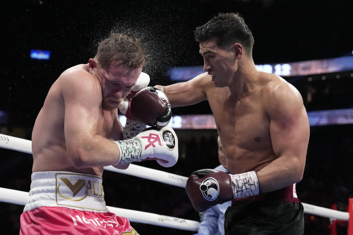 Canelo Alvarez's Loss to Bivol: What Went Wrong in the Big Fight?