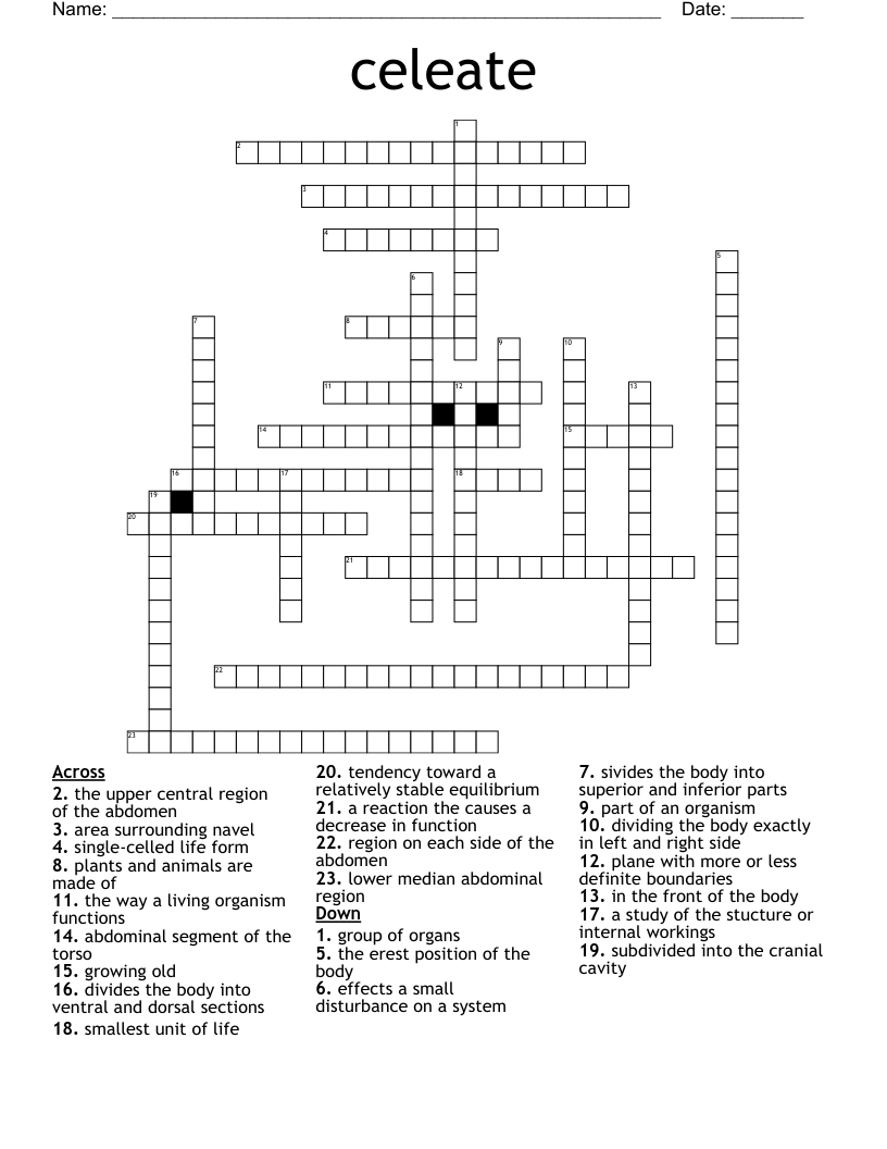 central position crossword