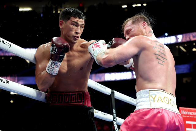 Canelo Alvarez's Loss to Bivol: What Went Wrong in the Big Fight?