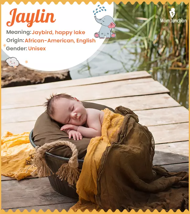 Jaylin Name Meaning: A Guide to Its Origins, Variations, and Popularity