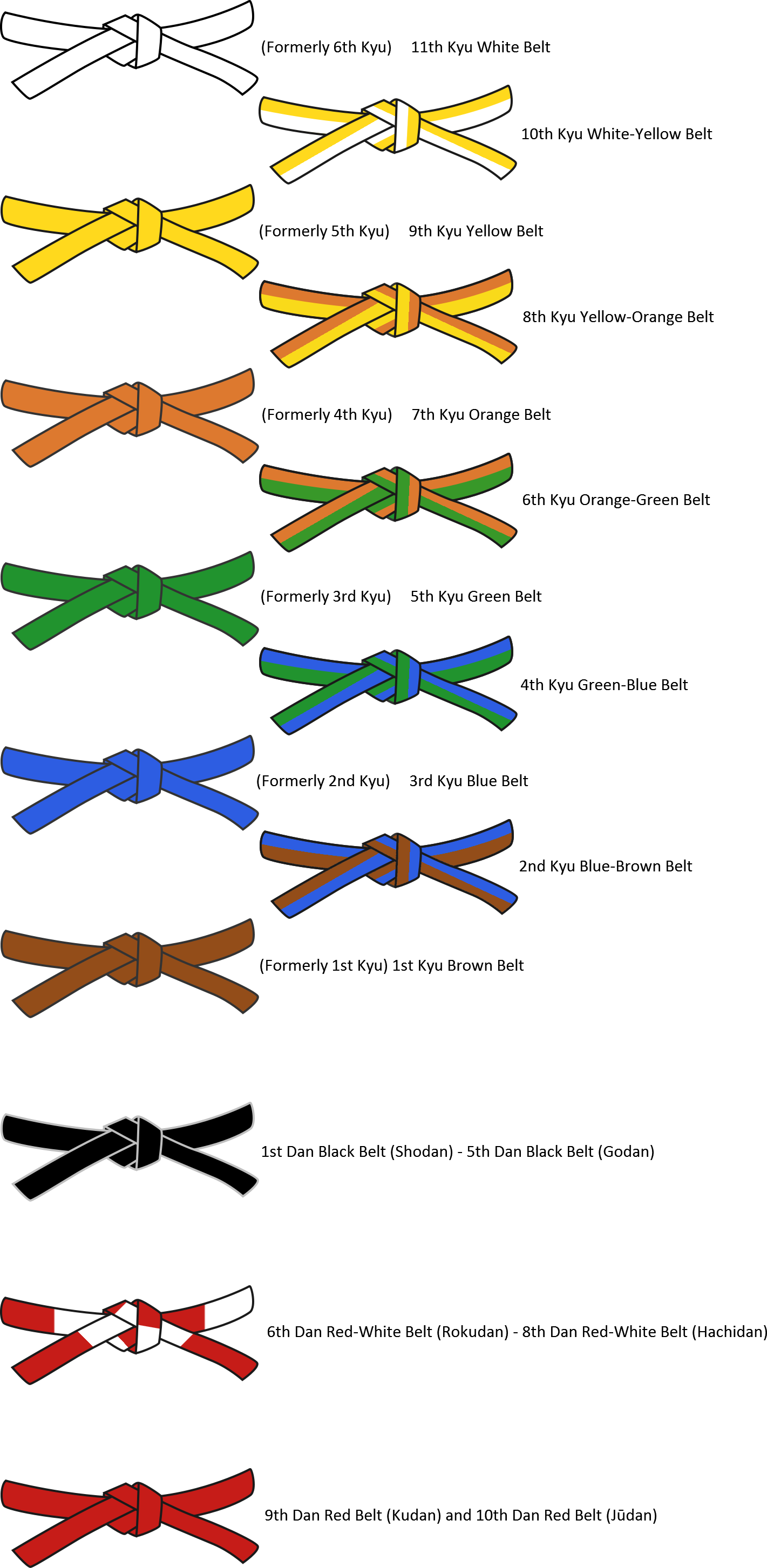 Judo Ranks NYT: What You Need to Know About Judo Belts