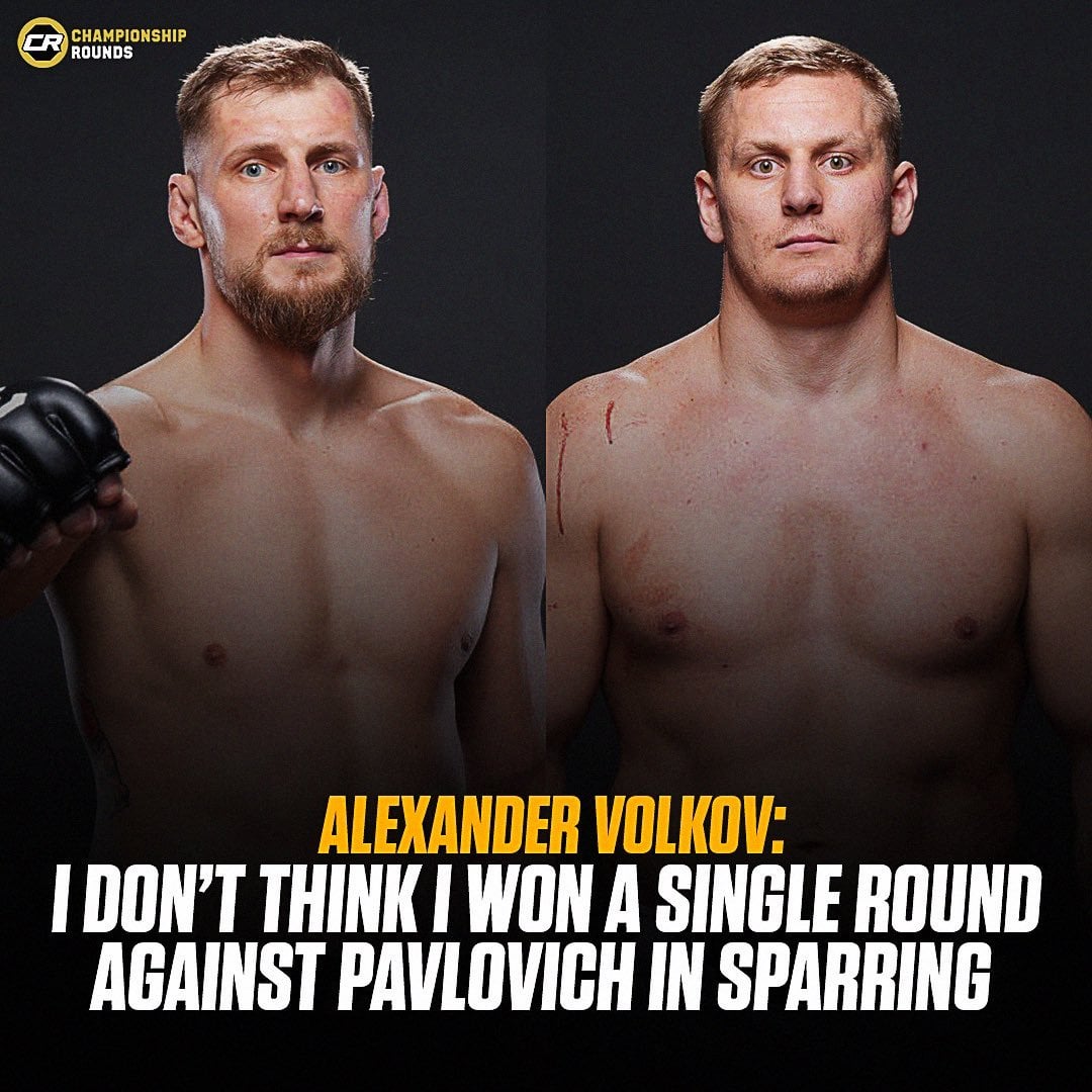 Volkov vs Pavlovich: Who will win this epic showdown?