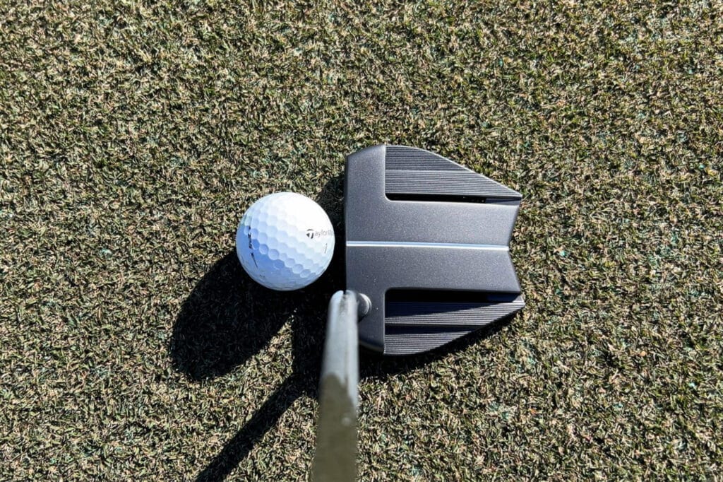 What is a Stingray Putter (And Why Golfers Love it)