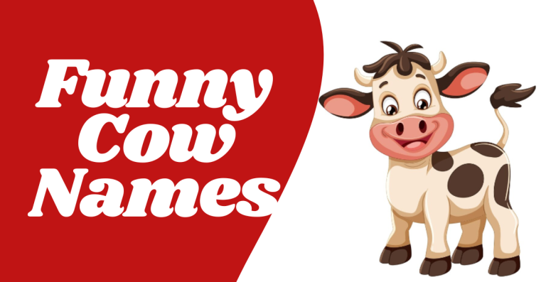 Funny Bull Names: Find the Perfect One for Your Hilarious Heifer!