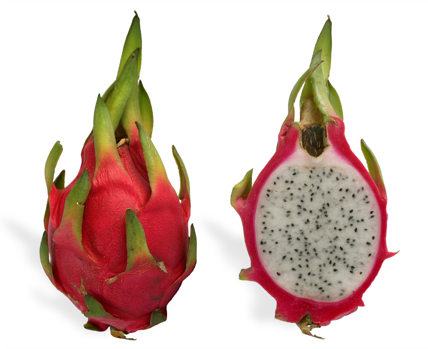 fire dragon fruit