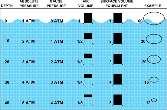 Diving Deep into Shark Chapter 1: Key Points