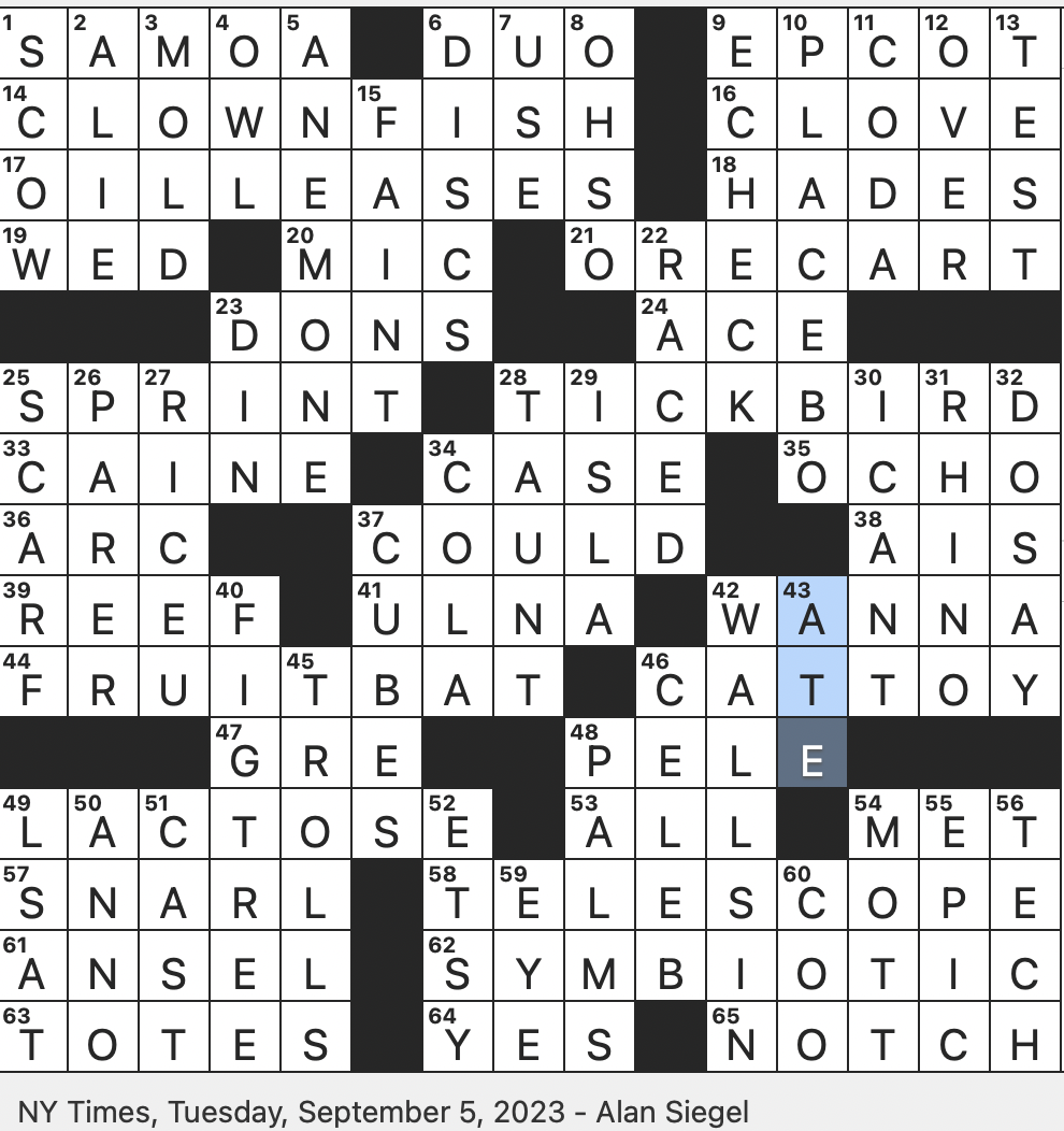 International Date Line NYT Crossword Clue Giving You Trouble? Get Easy Hints Here!