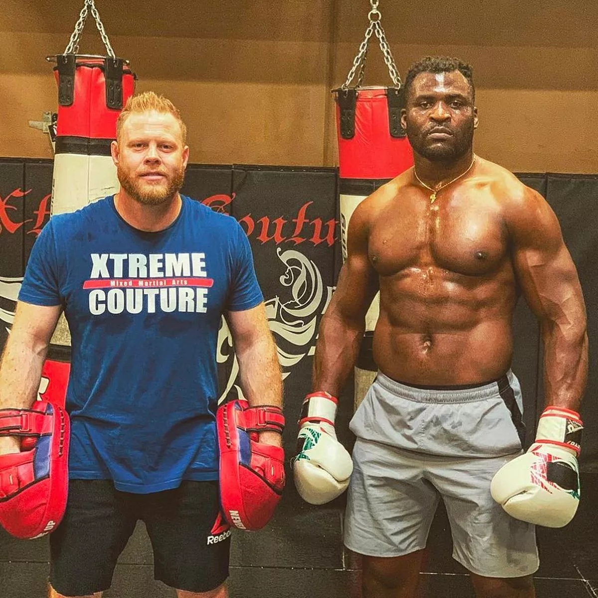 Francis Ngannou Punching Power: How Does It Compare to Other Fighters?