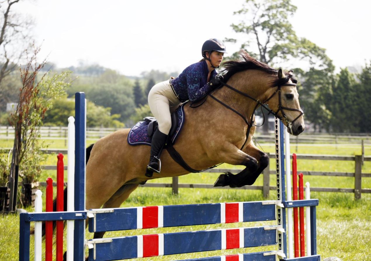 Harry Hall for Beginners: How to Start Your Horse Riding Journey!