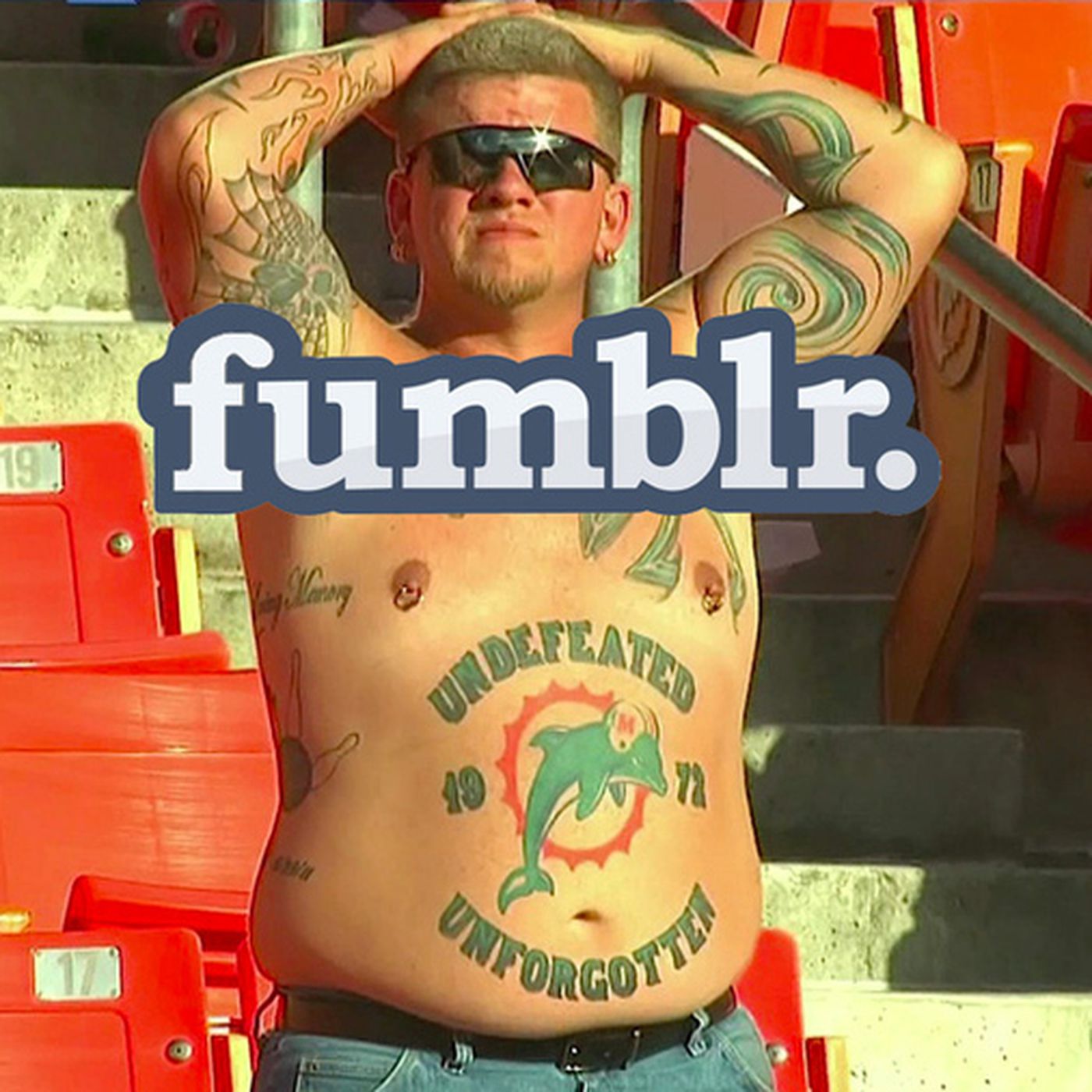 Gay Dolphins Fans: Where Do They Hang Out Online? Find Your Community Here!