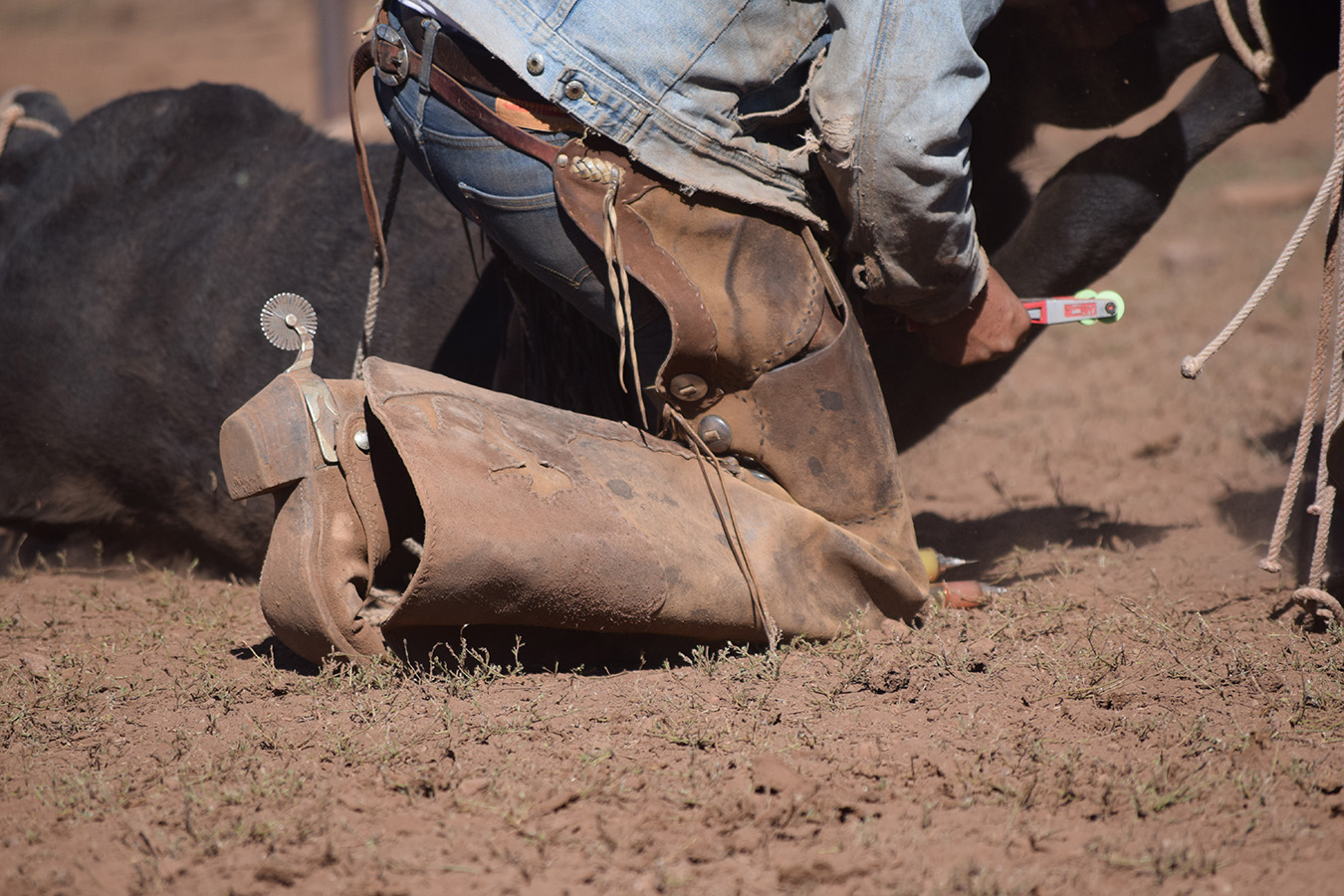 A Day in the Life of a Cowboy Wife: What to Expect When Marrying a Cowboy!