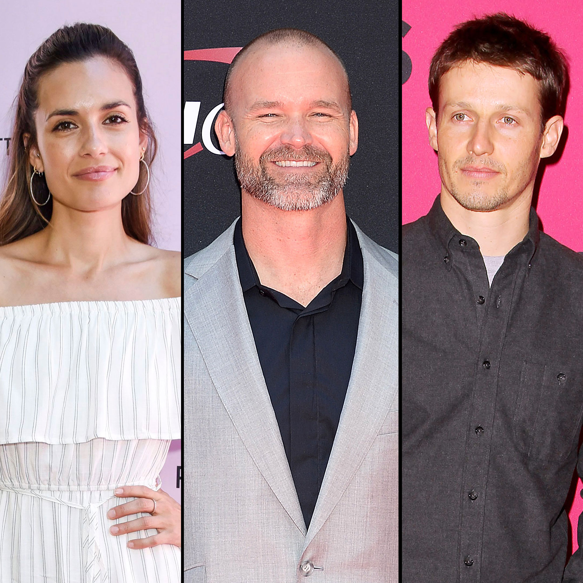 Torrey DeVitto David Ross Split: What Went Wrong? Inside The Breakup