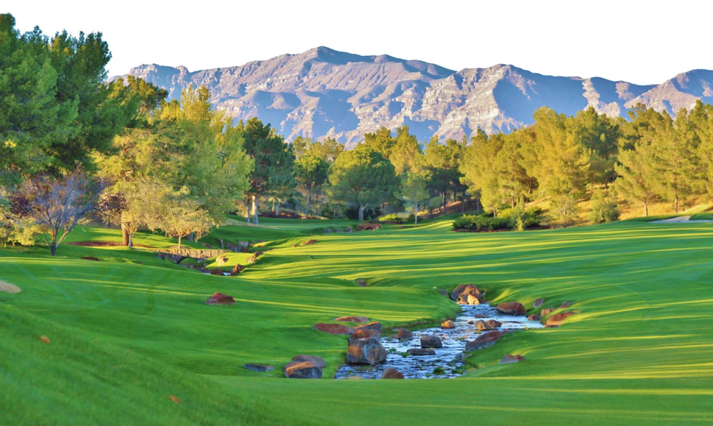 Is Shadow Creek Worth It? Golfers Share Honest Reviews & Experiences!