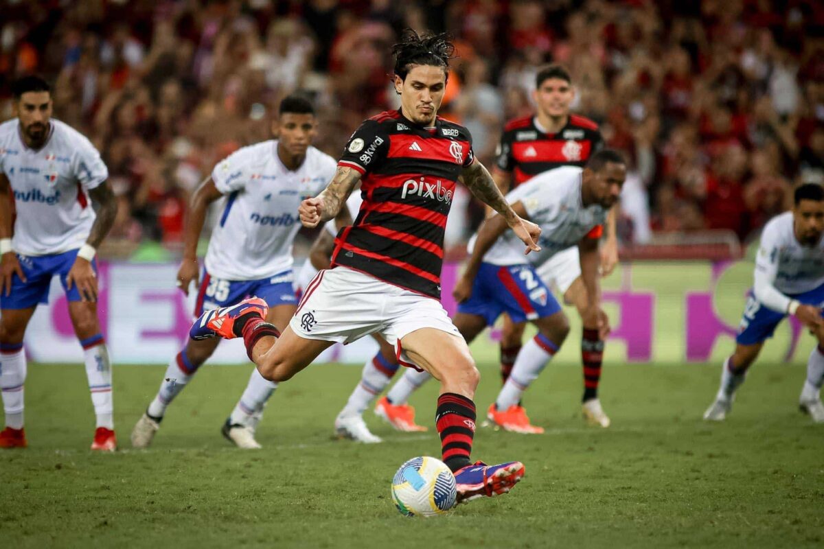 Flamengo vs Criciuma Prediction: Match Winner and Score Forecasts.