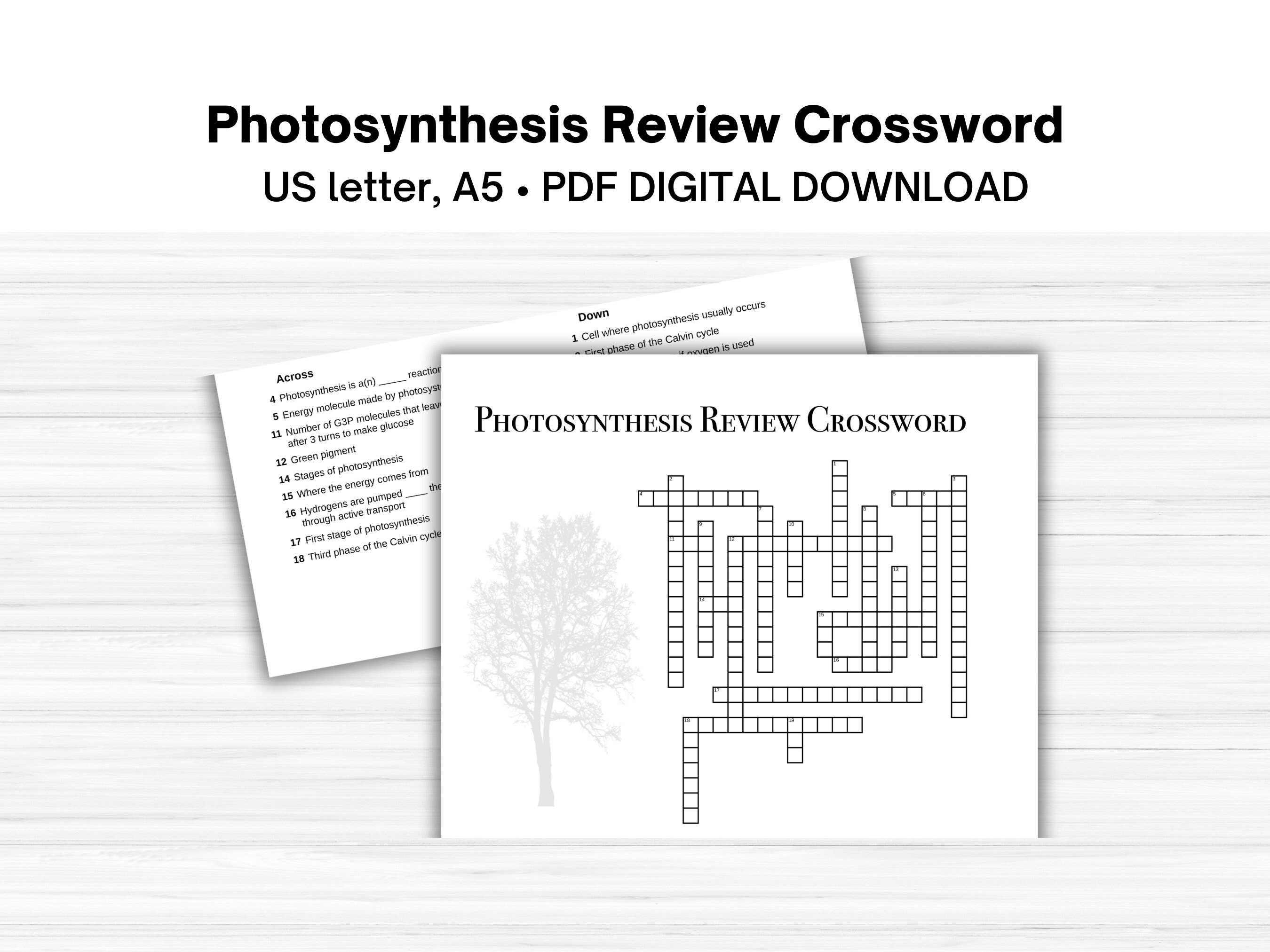 Metabolic State NYT Crossword Clue? Simple Tips to Solve the Puzzle and Understanding Metabolism!