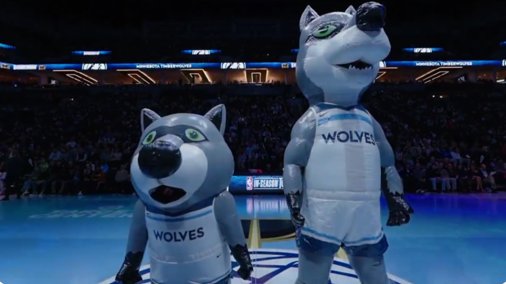 Meet the Minnesota Timberwolves Mascot (Fun Facts You Wont Believe)