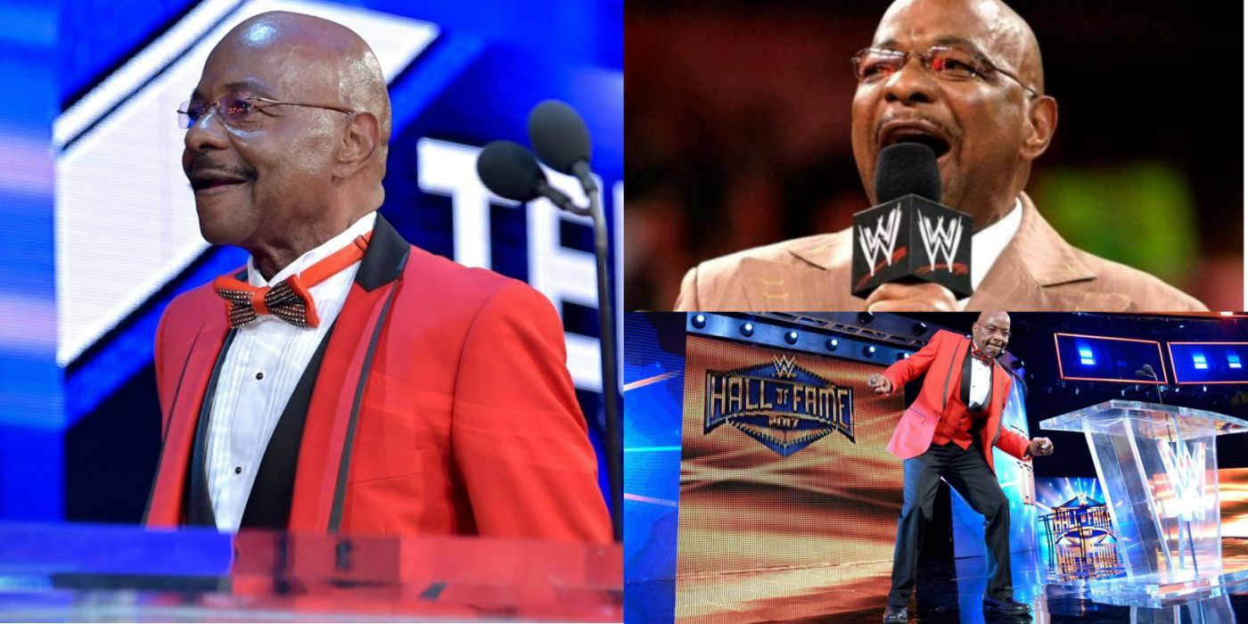 Teddy Long: Is It Worth It? (Pros, Cons, and Reviews)