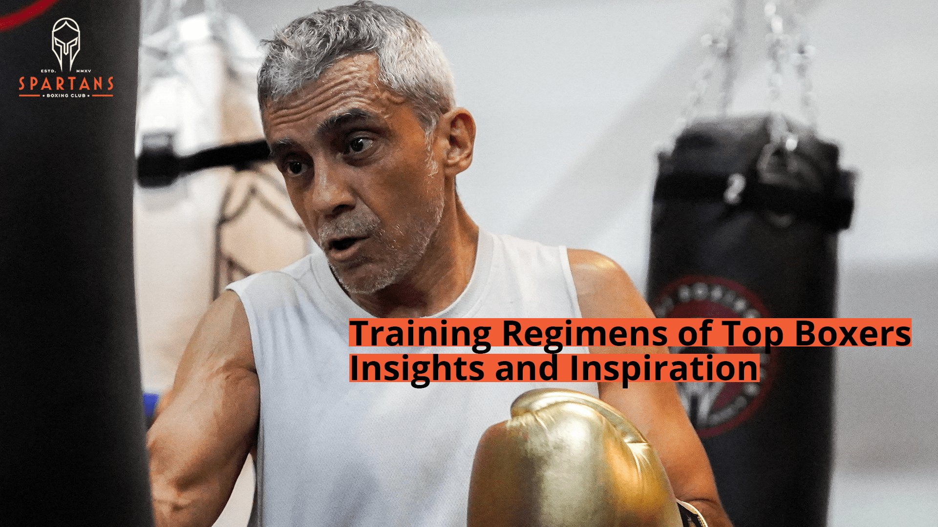 Top Boxing Management: Get Expert Advice for Fighters